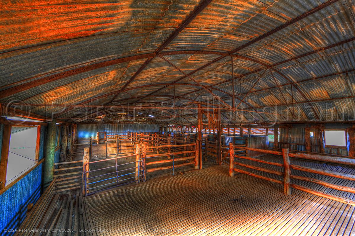 Peter Bellingham Photography Bucklow Station - Woolshed - NSW SQ (PB5D 00 2652)